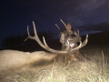 Elk Hunt 2015